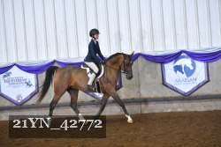 21YN_42772 proof