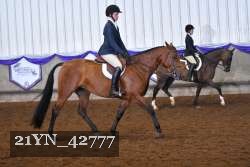 21YN_42777 proof
