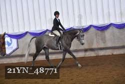21YN_48771 proof