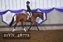 21YN_48772 proof