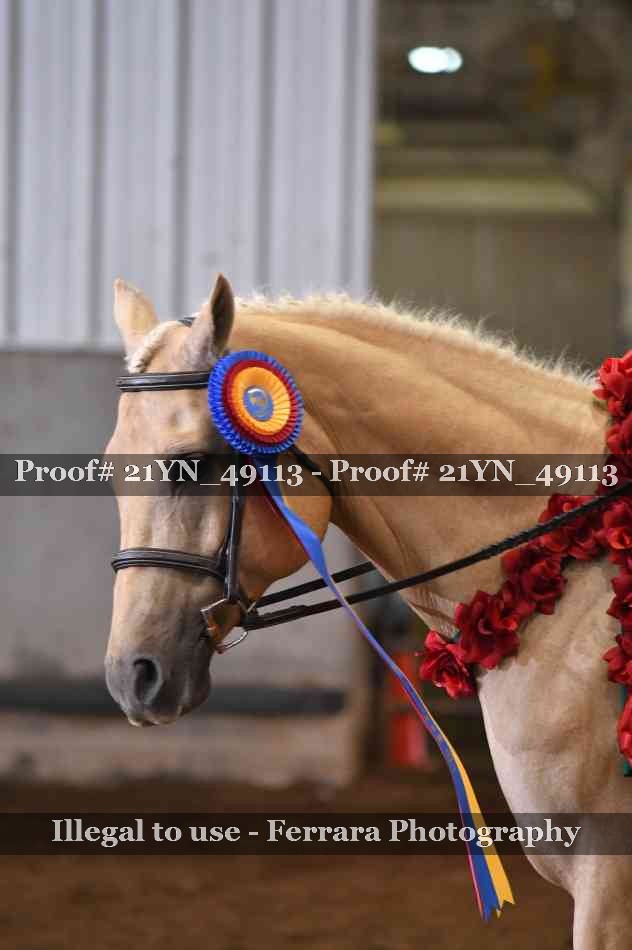 Proof 21YN_49113