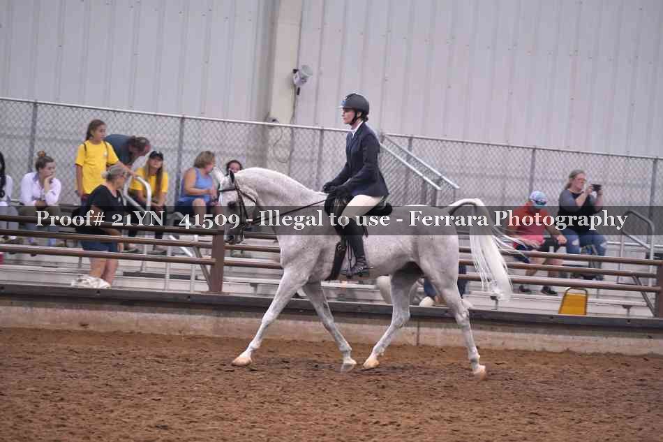 Proof 21YN_41509
