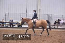 21YN_41512 proof