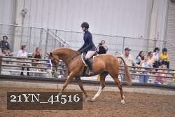 21YN_41516 proof