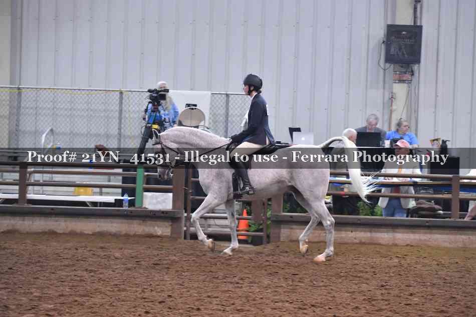 Proof 21YN_41531