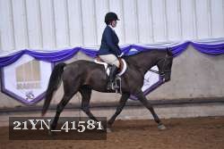 21YN_41581 proof