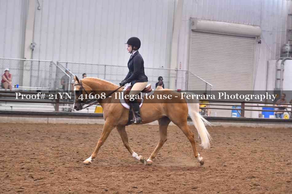 Proof 21YN_41608