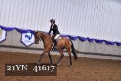 21YN_41617 proof