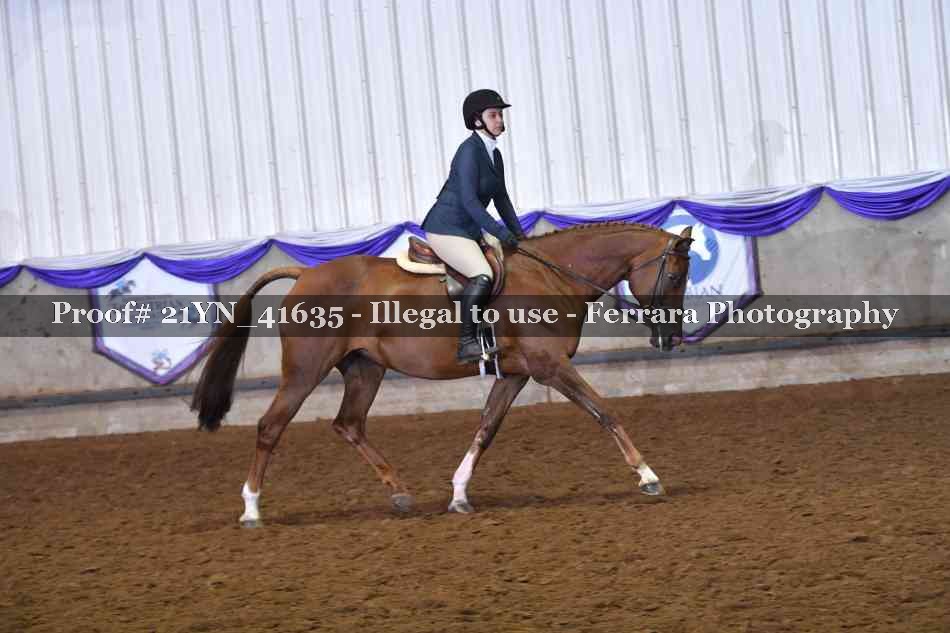Proof 21YN_41635