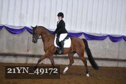 21YN_49172 proof