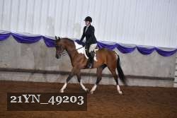 21YN_49203 proof