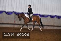 21YN_49204 proof
