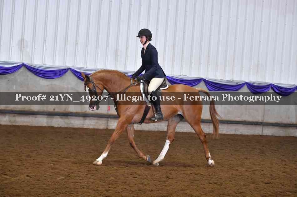 Proof 21YN_49207