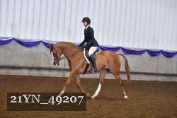 21YN_49207 proof