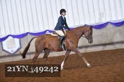 21YN_49242 proof