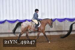 21YN_49247 proof