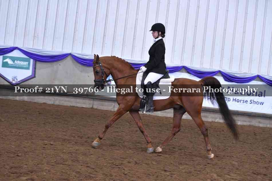 Proof 21YN_39766