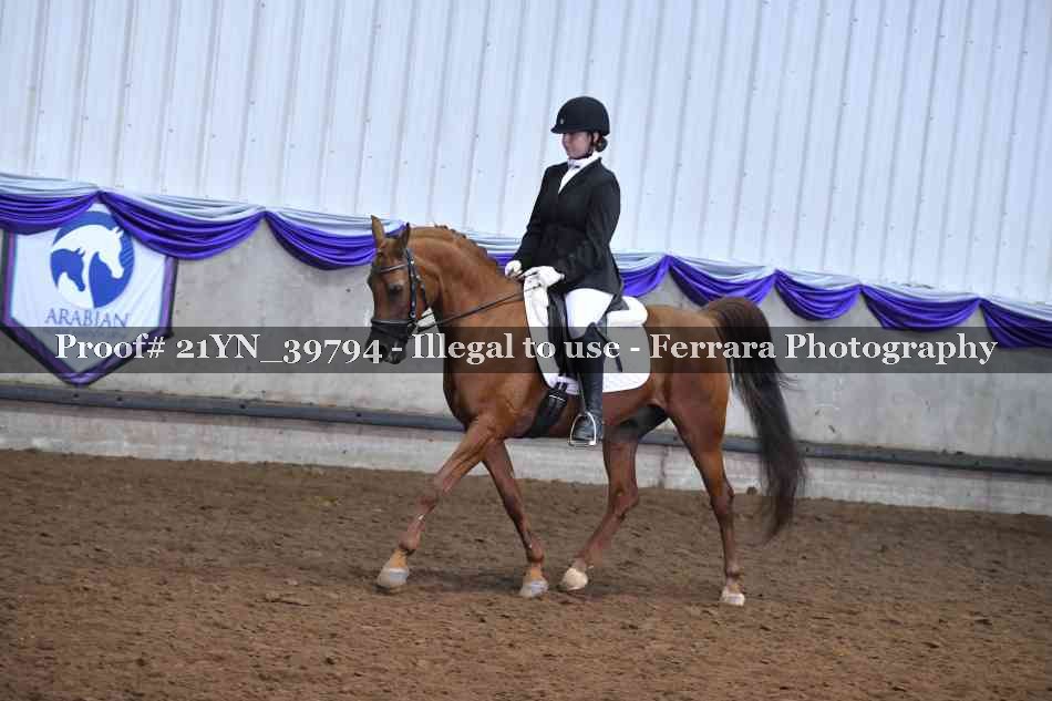 Proof 21YN_39794