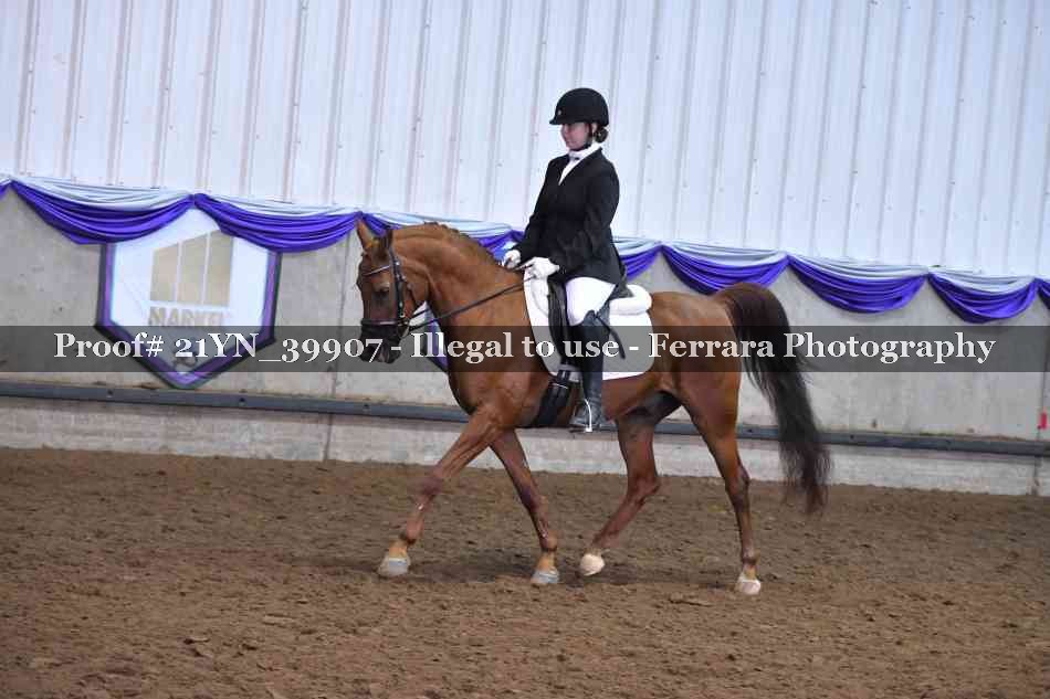 Proof 21YN_39907
