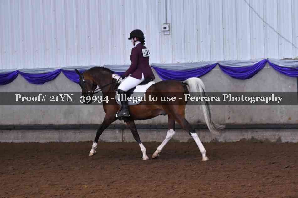 Proof 21YN_39934