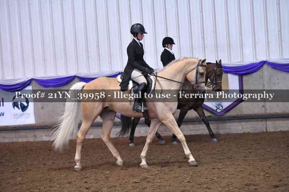 Proof 21YN_39958