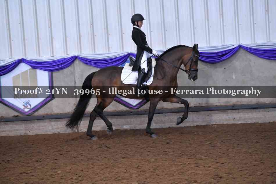 Proof 21YN_39965