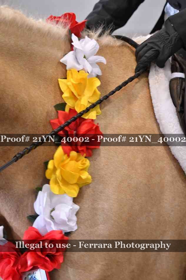 Proof 21YN_40002
