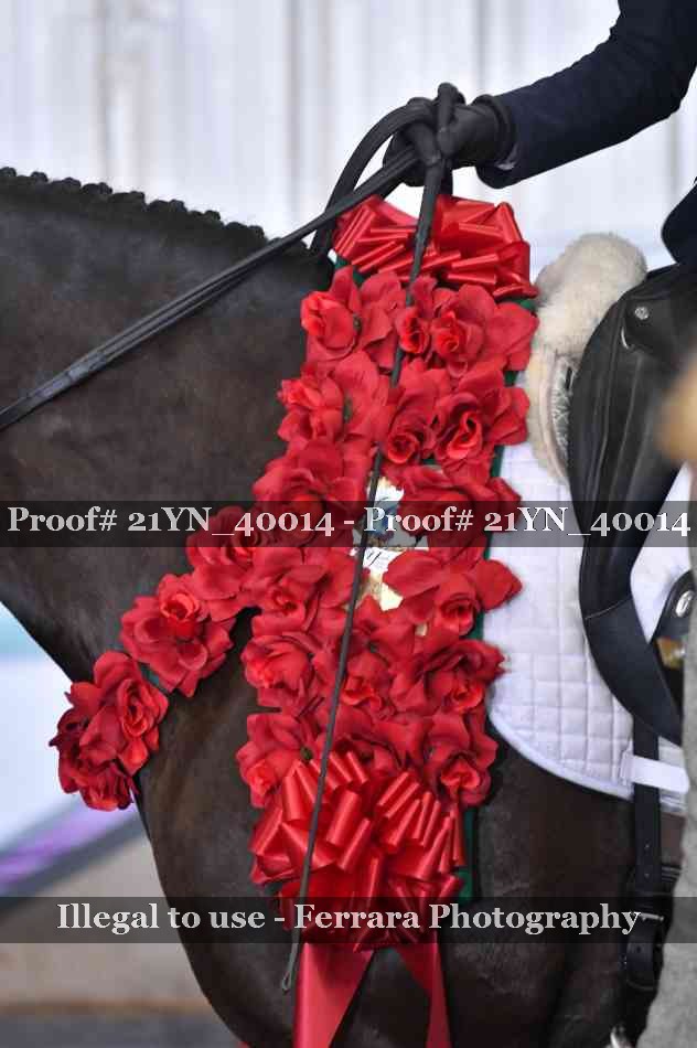 Proof 21YN_40014