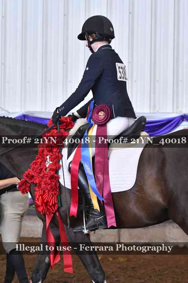 Proof 21YN_40018