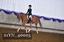 21YN_40025 proof