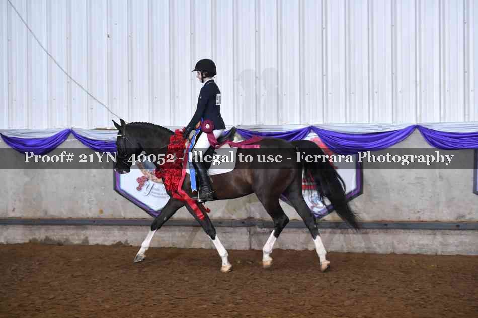 Proof 21YN_40052