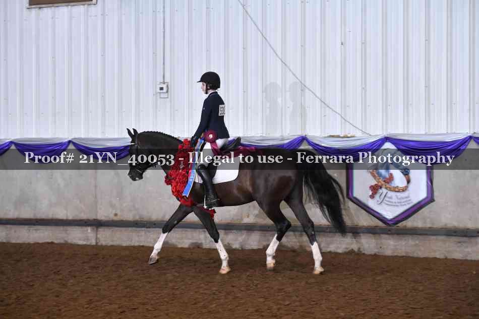 Proof 21YN_40053