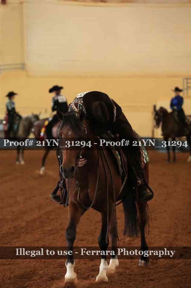Proof 21YN_31294