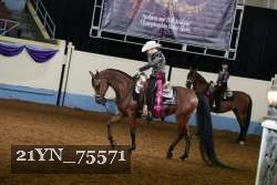 21YN_75571 proof