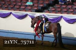 21YN_75711 proof