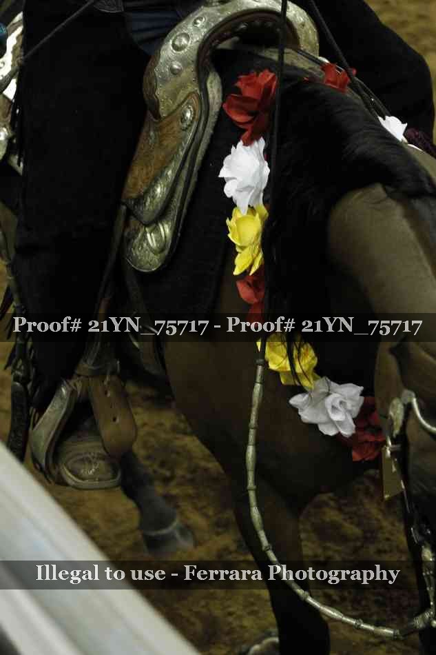 Proof 21YN_75717