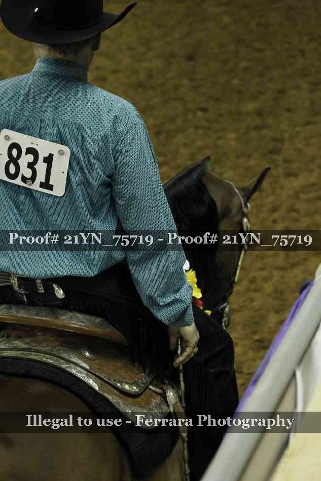 Proof 21YN_75719