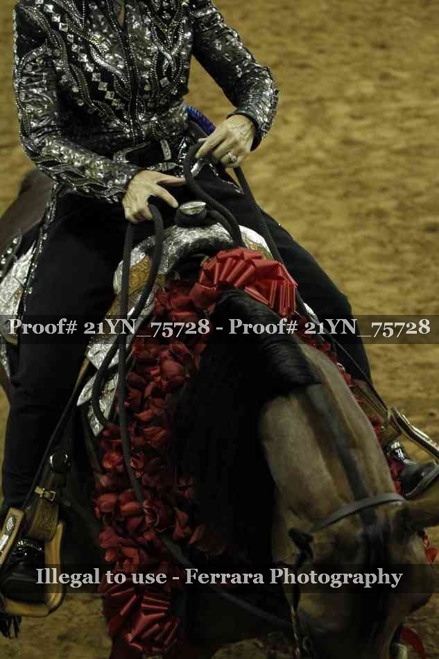 Proof 21YN_75728