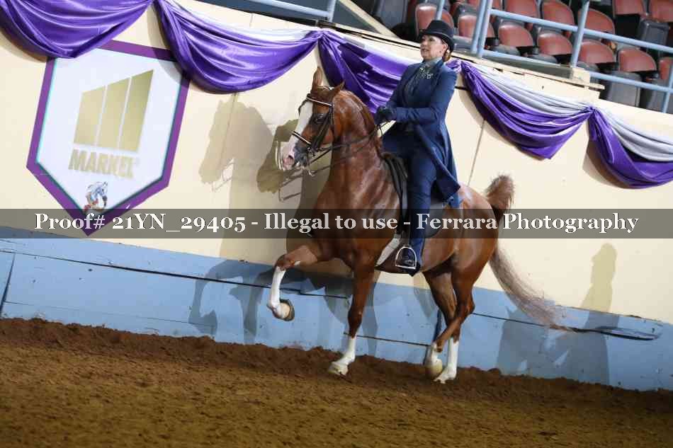 Proof 21YN_29405