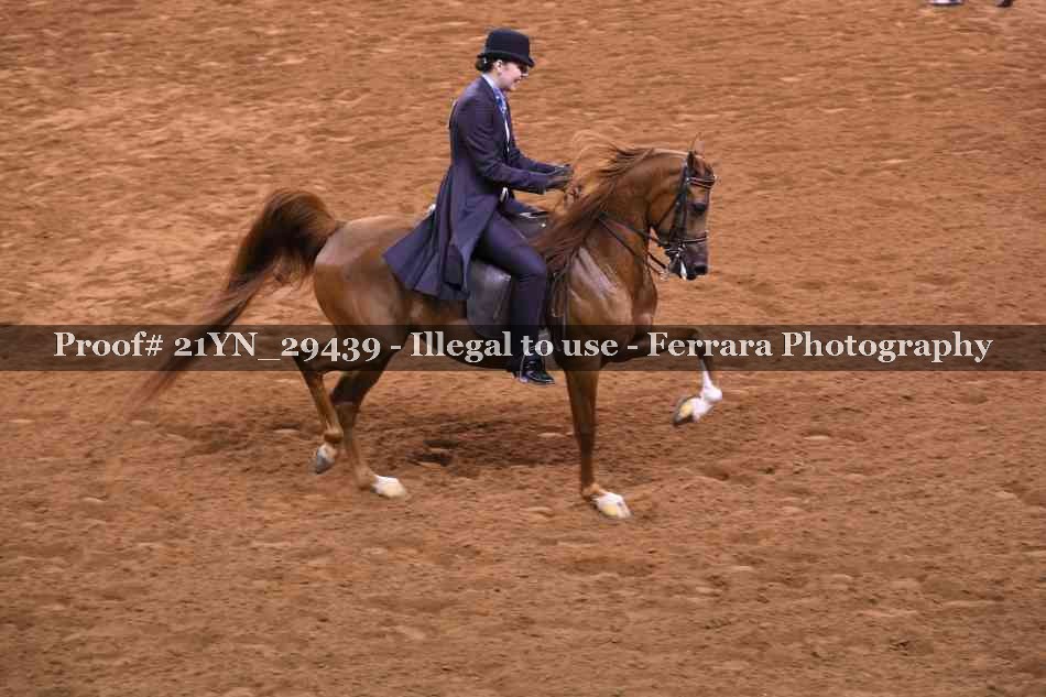 Proof 21YN_29439