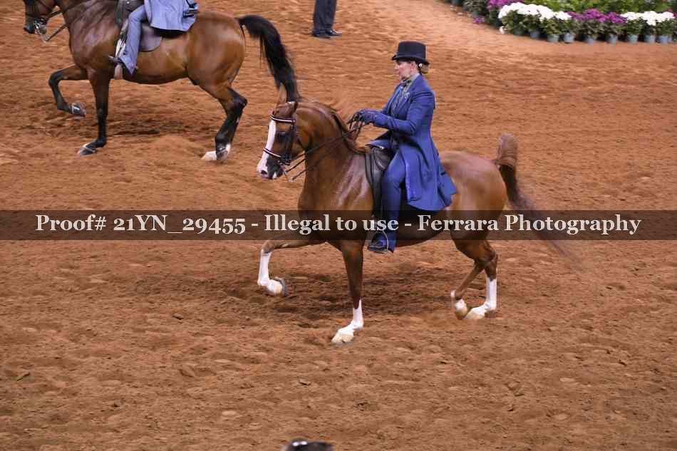 Proof 21YN_29455