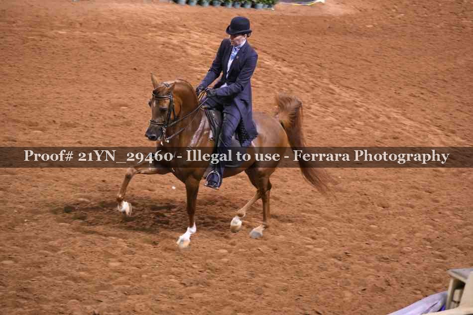 Proof 21YN_29460