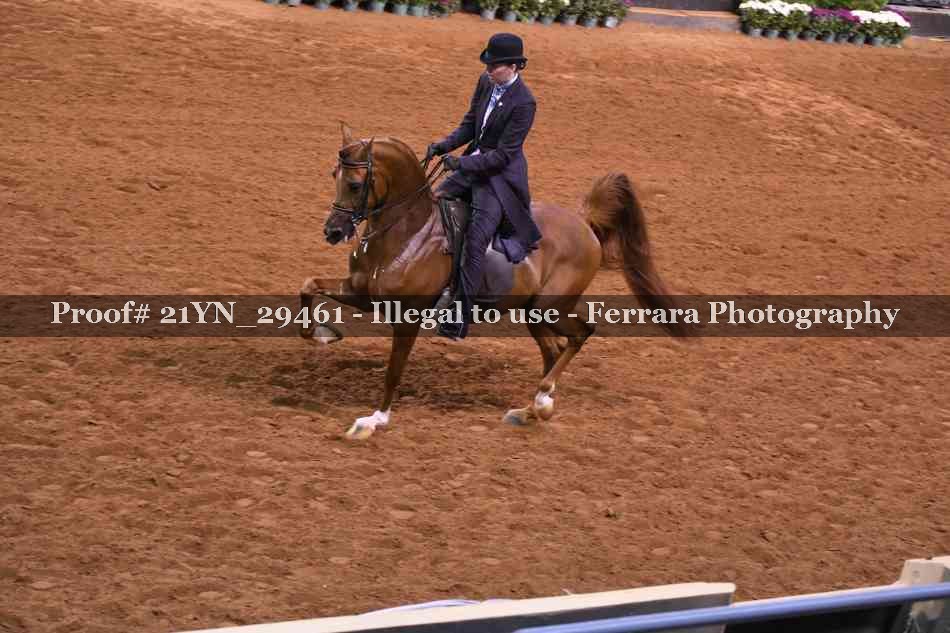 Proof 21YN_29461