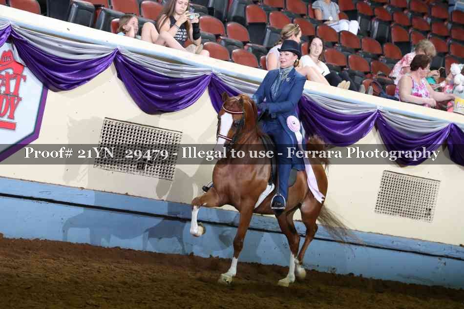 Proof 21YN_29479