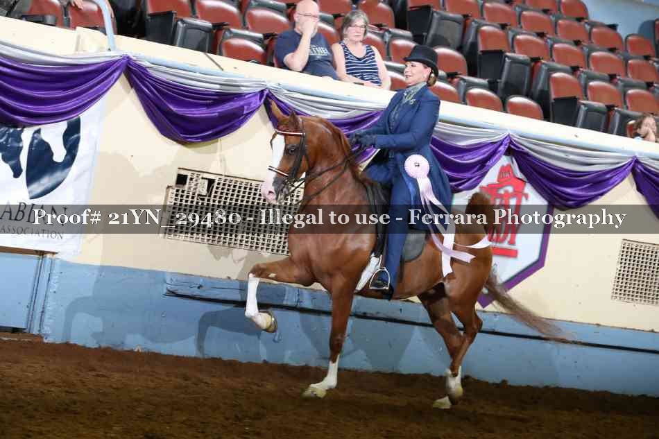 Proof 21YN_29480