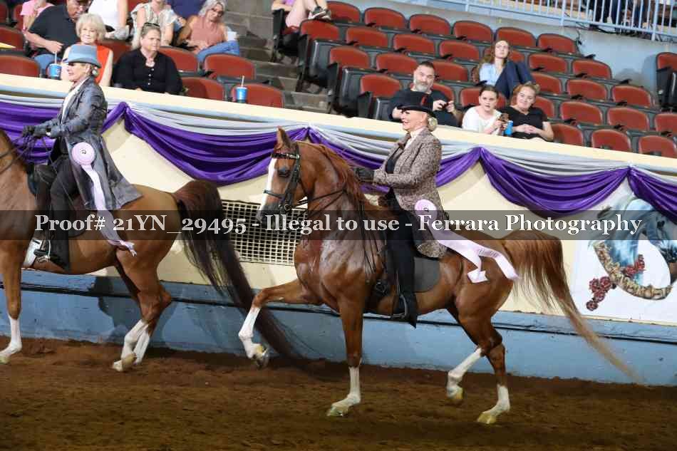 Proof 21YN_29495