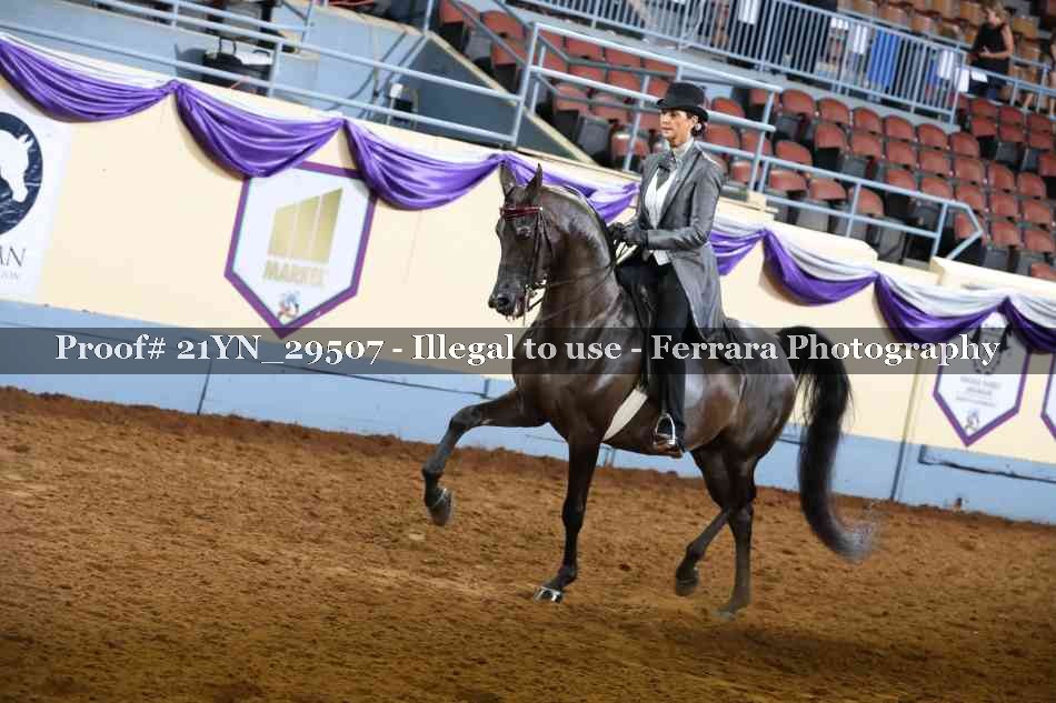 Proof 21YN_29507