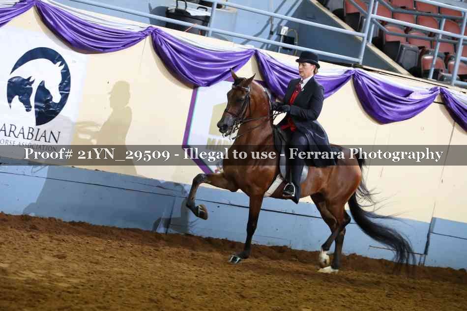 Proof 21YN_29509