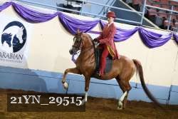 21YN_29515 proof