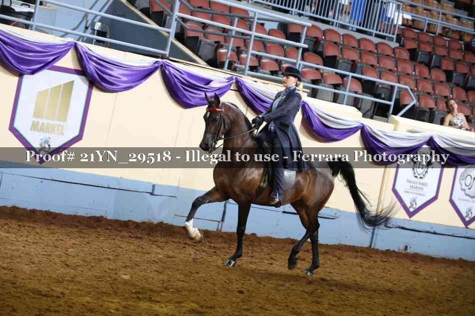 Proof 21YN_29518